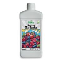 ราคา PHYSIS SHAMPOO MIX BERRY BREEZE แชมพู เบอรี่ บรีส (14254466721)
