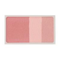 ราคา มูจิ บรัชออน สีโรส MUJI Cheek Color Rose 4 7g (7881351891)