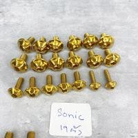 ราคา น็อตชุดสี รุ่น โซนิค ทอง 19ตัว งานแสตนเลสแท้ (19109245825)