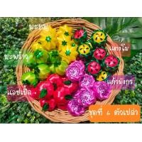 ราคา เหรียญโปรยทาน ผลไม้รวม ตัวเปล่า50ชิ้น มีผลไม้รวม9ชุด โปรยทานงานบวช โปรยทานสำเร็จรูป (19645512226)