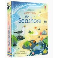 ราคา หนังสือภาษาอังกฤษ usborne Peep inside fairy tale lift the flap book นิทานภาษาอังกฤษ Usborne Peep Inside Collection หนังสือหน้าต่างเปิดปิด Die cut hold (20591097141)