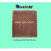 ราคา กระดาษรังผึ้ง ขนาด 300 300 30 มม TYPE 0790 คูลลิ่งแพ็ด Cooling padกระดาษระเหยความเย็นฟาร์มไก่ฟาร์มหมูโรงเรือนพัดลมไอเย็นอะไหล่พัดลมไอน้ำNature (21452830797)