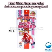 ราคา Hikari Goldfish Wheat Germ mini pellet 100 200 g สำหรับปลาทอง และลูกปลาคาร์พ สูตรผสมจมูกข้าวสาลี (18114045505)
