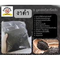 ราคา งาดำ เกรดคุณภาพ ขนาด 1 กิโลกรัม (21432983209)