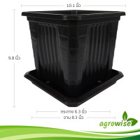 ราคา กระถางต้นไม้ กระถาง 4 เหลี่ยม ทรงสูง ทรงเตี้ย กระถางแคคตัส 10 นิ้ว (21393467013)