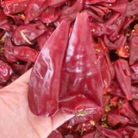 ราคา พริกแห้งใหญ่ พริกหยวกแห้ง เม็ดใหญ่ ไม่เผ็ด คัดสวย สะอาด ฮาลาล (20132379584)