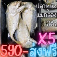 ราคา ส่งฟรี ปลาทูนึ่งแม่กลองแท้ 5กล่อง เนื้อนิ่ม มัน สด อร่อย คัดพิเศษทุกตัว ส่งฟรีรถห้องเย็น ปลาทู (16613182357)