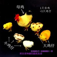 ราคา ตุ๊กตาไก่จำลองที่น่ารักของตกแต่งรูปไก่ตัวเมียรูปสัตว์ตัวน้อยของตั้งโชว์รูปโฟม flocking น่ารัก (12095326256)