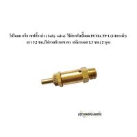 ราคา ราคาถูก โปโลลม เซฟตี้วาล์ว Safty Valve PP 1 1 4HP อะไหล่ปั๊มลม PUMA (20564299494)