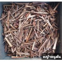 ราคา สมุนไพร หญ้าหนูต้น อบแห้ง อย่างดี 200กรัม (9558828700)