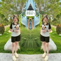 ราคา เซ็ทหมีโปโลฟรีไซส์ สาวอวบใส่ได้ (21409855494)