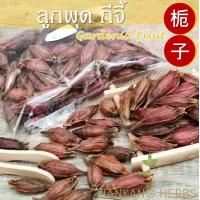 ราคา ลูกพุด เม็ดพุด 100 200 กรัม ลูกพุดจีน กีจี้ ให้น้ำเก๊กฮวยมีสีเหลืองสวย Gardenia Fruit 栀子 Zhi Zi เม็ดต้มเก๊กฮวย (19372430416)