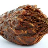 ราคา มะขามเปียก สด สะอาด รับประกันคุณภาพ (15081090734)