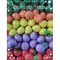 ราคา เหรียญโปรยทานสตอเบอรี่จิ๋วตัวเปล่า คละสี ใส่เหรียญทีหลัง (21346090894)