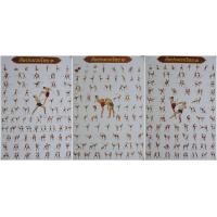 ราคา โปสเตอร์มวยไทย Muay Thai โปสเตอร์ภาพแม่ไม้มวยไทย Thai boxing picture ศิลปะมวยไทย THAI BOXING ขนาด ความกว้าง 22 นิ้ว ความสูง 32นิ้ว 1ชุด จำนวน 3แผ่น (13674337270)