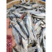 ราคา ปลาหลังเขียว ตากแห้ง ขนาดใหญ่ 1 กิโล 85 บาท (21311333764)