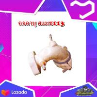 ราคา คอคาบู คอหรีด แป้นคาร์บู คอคาร์บู สแมช113 สแมชนิวสแมชแจ่มแจ๋ว Smash113 smash new มือสอง แท้ ติดรถ (17499792926)