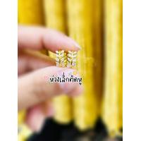 ราคา ต่างหูทองไมครอน ชุบทองแท้ 100 ต่างหูทองชุบ เศษทองคำแท้ ตุ้มหูทองไม่ดำ ชุบทอง 24K ไม่ลอก ไม่ดำ (21525815004)