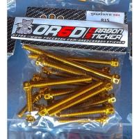 ราคา น็อตชุดแต่งแคร๊งเครื่อง สำหรับ R15 R15NEW Mslaz MT 15 (21111289018)