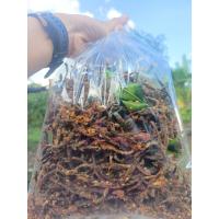 ราคา เห็ดลมทอดสมุนไพร อ ลี้ รสงาขาว ดั้งเดิม ปริมาณ 1000กรัม ทอดใหม่ทุกวัน (21331676903)