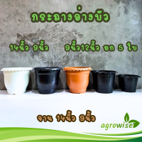 ราคา กระถางต้นไม้ปากจีบ กระถางปากหยัก กระถางบัว ปลูกบัว 9 12 14 นิ้ว (21405671799)