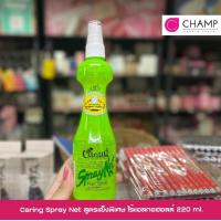 ราคา Caring Spray Net ชนิดแข็ง (19485368057)