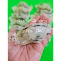 ราคา รังนกแห้ง ขนปานกลาง ไม่มีท้องดำ รังนกนางแอ่นแบบยังไม่ทำความสะอาด บรรจุถุงซิป 10 กรัม (21271160792)