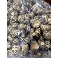 ราคา เห็ดหอมลายญี่ปุ่นเกรด A 100กรัม 500กรัม AAA4 (21446878525)