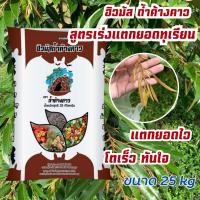 ราคา ปุ๋ย ฮิวมัส ถ้ำค้างคาว ฟื้นต้น ต้นโทรม ต้นไม่โต ปุ๋ยทุเรียน ผสมมูลค้างคาว ทุเรียนเล็ก ปุ๋ยทำใบ ต้น ทุเรียน ปุ๋ยเร่งใบ เร่งโต ใบเขียว ขนาด 25kg (21307168539)