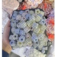 ราคา วัสดุกรองตู้ปลา กรองบ่อปลา ประมาณ 800 กรัม พร้อมถุงตาข่าย (19506242618)
