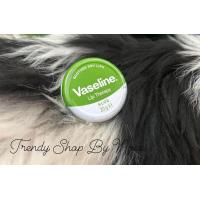 ราคา Vaseline Aloe Lip Therapy 20g (21406347889)