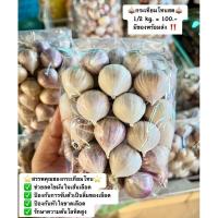 ราคา กระเทียมโทนสด ถุง 500g (20543778949)
