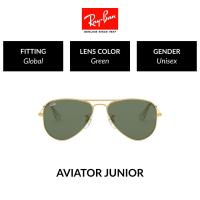 ราคา Ray Ban Kids Aviator RJ9506S 223 71 size 50 แว่นตาเด็ก (13671157)