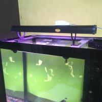 ราคา ไฟบนสำหรับตู้ปลา ขนาด 24 นิ้ว 30 นิ้ว 36 นิ้ว (17040512469)