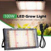 ราคา 220V Full Spectrum LED Grow Light 50W 100W 300W ไฟปลุกต้นไม้ ไฟช่วยต้นไม้ตัวเร็ว แสงขาว แสงธรรมชาติ มีสวิตช์ปิดเปิด สายไฟยาว1 5โมตร (21501666897)