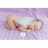 ราคา ปีกนางฟ้าสีขาว พร้อมที่คาดผม พร็อพถ่ายรูปเด็กแรกเกิด by babyworldoutlet (9567591423)