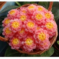 ราคา เหรียญโปรยทาน ดอกละอองดาว งานตัวเปล่าลูกค้านำไปใส่เหรียญเอง ขายเป็นชุด 1ชุด 10ดอก (20977734663)