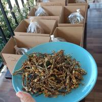 ราคา เห็ดลมทอดสมุนไพร รสงาขาว รสดั้งเดิม 500กรัม (20311567828)