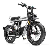 ราคา จักรยานไฟฟ้า COSWHEEL รุ่น CT20S ปี 2024 รุ่น Special Edition (19960620030)