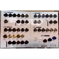 ราคา Color Chart ชาร์ทสี Dcash Supremeชาร์ทสี Dcash Optimus ตัวอย่างแสดงสีผม ปอยผม เส้นผมจริง (19367512922)