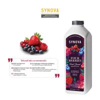 ราคา น้ำผลไม้เข้มข้น SYNOVA Four Berries Fruit Base Preparation 1 L (21467972094)