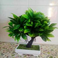 ราคา ต้นไม้นำโชคสำหรับห้องรับแขกปีใหม่2024ต้นไม้ผลไม้จำลองต้นไม้พีชแอปเปิ้ลส้มกระถางพลาสติกดอกไม้ปลอมสำหรับตกแต่ง (17518545860)