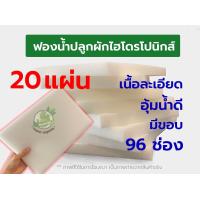 ราคา ฟองน้ำปลูกผัก ฟองน้ำปลูกผักไฮโดรโปนิกส์ ฟองน้ำเพาะต้นกล้า 96 ช่อง ชุด 20 แผ่น (20898073954)