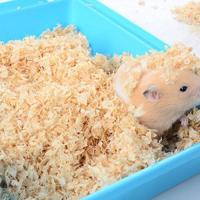 ราคา ทรายอาบน้ำหนูแฮมเตอร์และขี้เลื้อย ชินชิล่าก็ใช้ได้ ขี้เลื่อยกลิ่นกุหลาบ 1KG (21380346249)