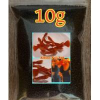 ราคา อาหารปลาไฮเกรดแบ่งขาย เม็ดเล็ก สำหรับปลาหางนกยูง (21498642051)