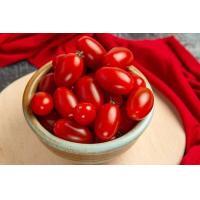 ราคา 50 เมล็ด เมล็ดมะเขือเทศ สายพันธุ์ มะเขือเทศเชอรี่ไต้หวัน อัตราการงอก 70 80 Tomato Seeds (9079250760)