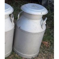 ราคา ถังนมดิบ ถังนมอลูมิเนียม ถังใส่นมวัว ถังนมของแท้ ถังนมตราแรด ถังนม ถังใส่นม นำเข้าจากต่างประเทศ ขนาด 40 ลิตร มือสอง พร๊อพถ่ายรูป (12564080576)