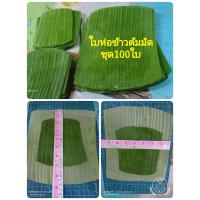 ราคา ใบตองสดห่อข้าวต้มมัด แหนมห่อหมก ทำสำเร็จพร้อมใช้งาน ห่อข้าวเหนียวหมู ห่ออาหารได้ทุกชนิด ตัดแต่งพร้อมใช้งาน ใช้ห่อขนม ชุด100ใบพร้อมใบรอง แถมตอกมัดให้ด้วย มี3ขนาด ให้เลือกใช้ (21137801023)