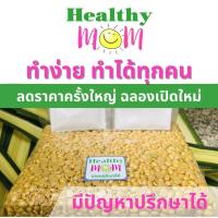 ราคา ชุดฝึกทำเทมเป้ เชื้อเทมเป้พร้อมถั่วเหลืองซีกอินทรีย์0 5 1กกและถุงหมัก ทำได้2ครั้งได้เทมเป้0 9 1 8กก (21464846717)