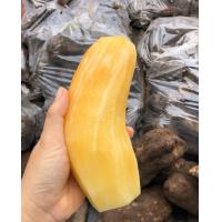 ราคา บัวหิมะสด ขายเป็นกิโล จากดอยอ่างขางขนาด 3 4 หัวโล กิโลละ 45 บาท (16436690523)